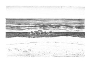 am Meer, 2010, Zinkografie, 24 x 16 cm