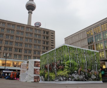 berlinvvsf4 web