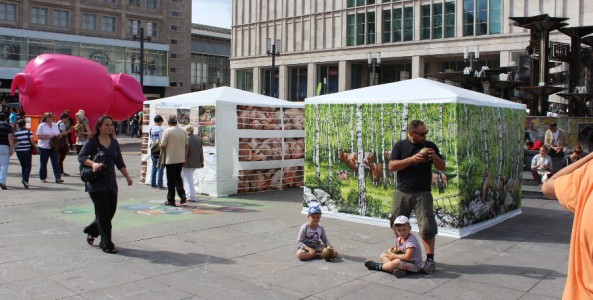 berlinvvsf9 web