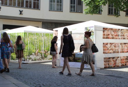vsd stuttgart 2014 4
